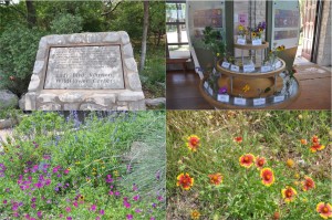 LBJ Wildflower Center