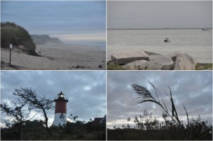 Cape Cod National Seashore